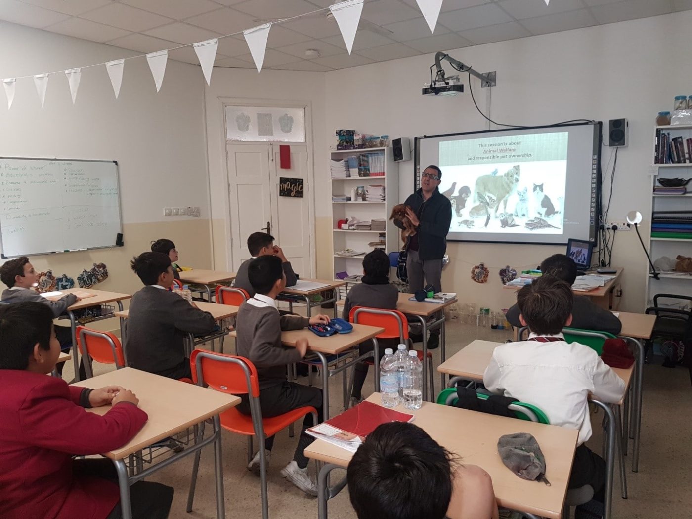 Year 6 Animal Welfare visit