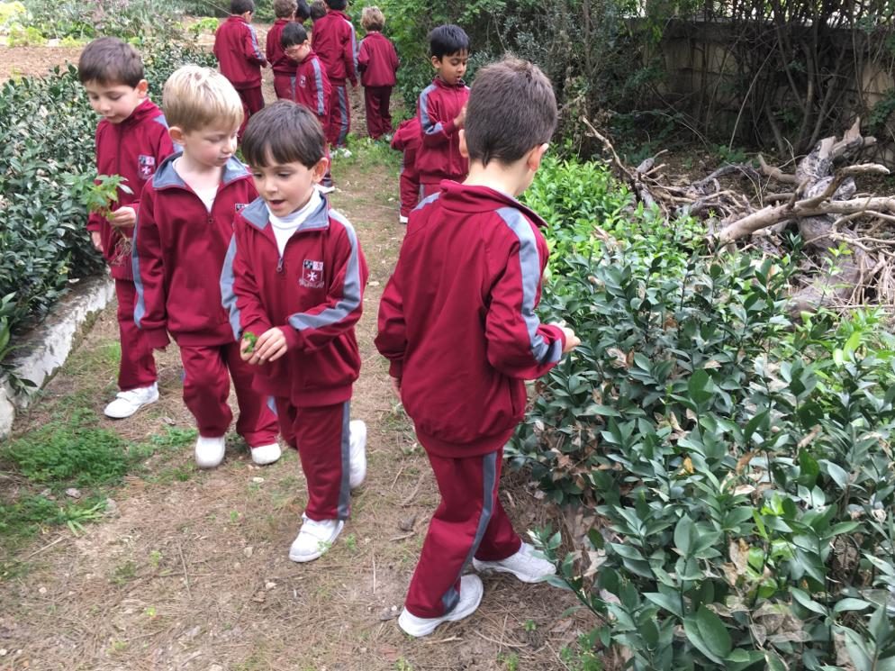 year 1 spell activity (5)