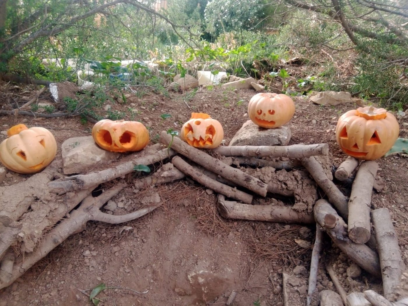 Outdoor Pumpkin Carving