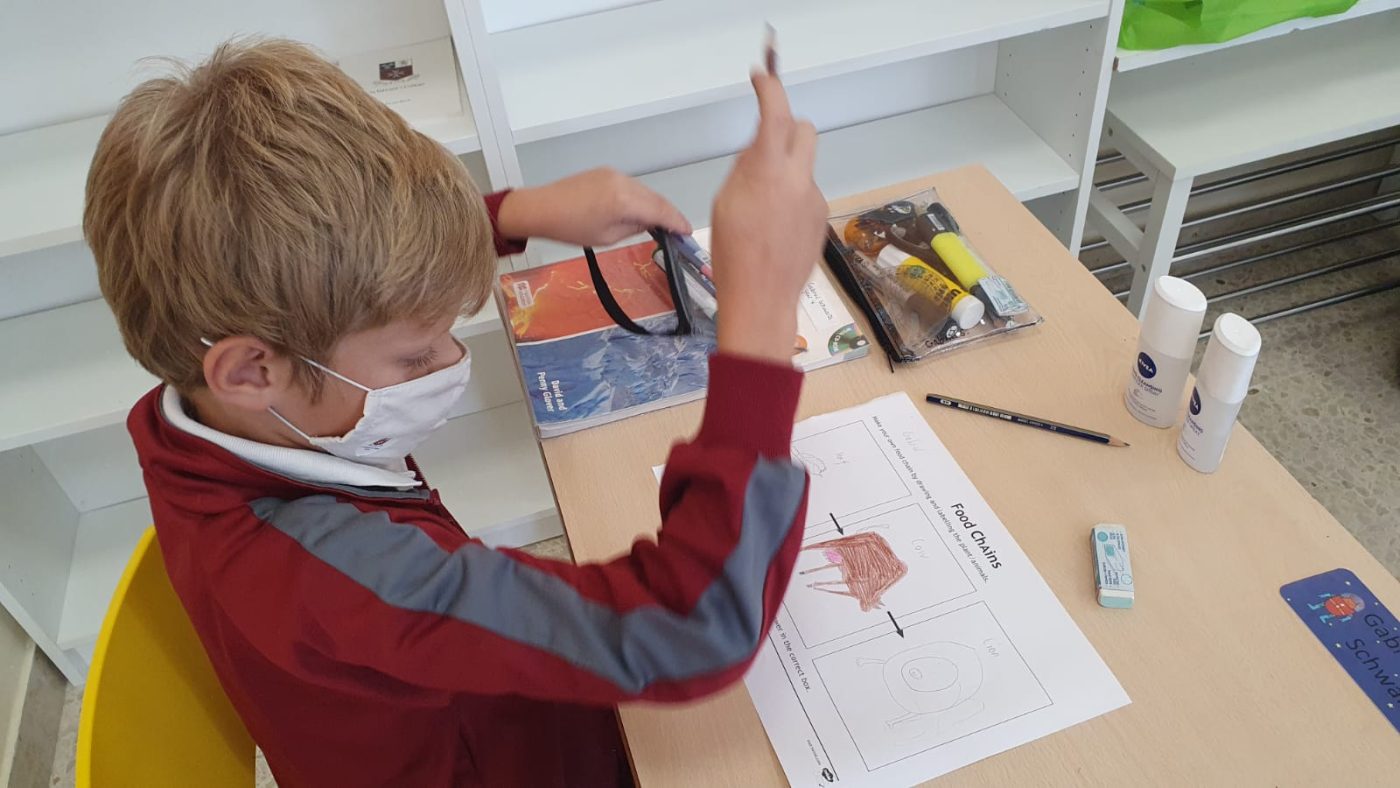 Science in Year 4X