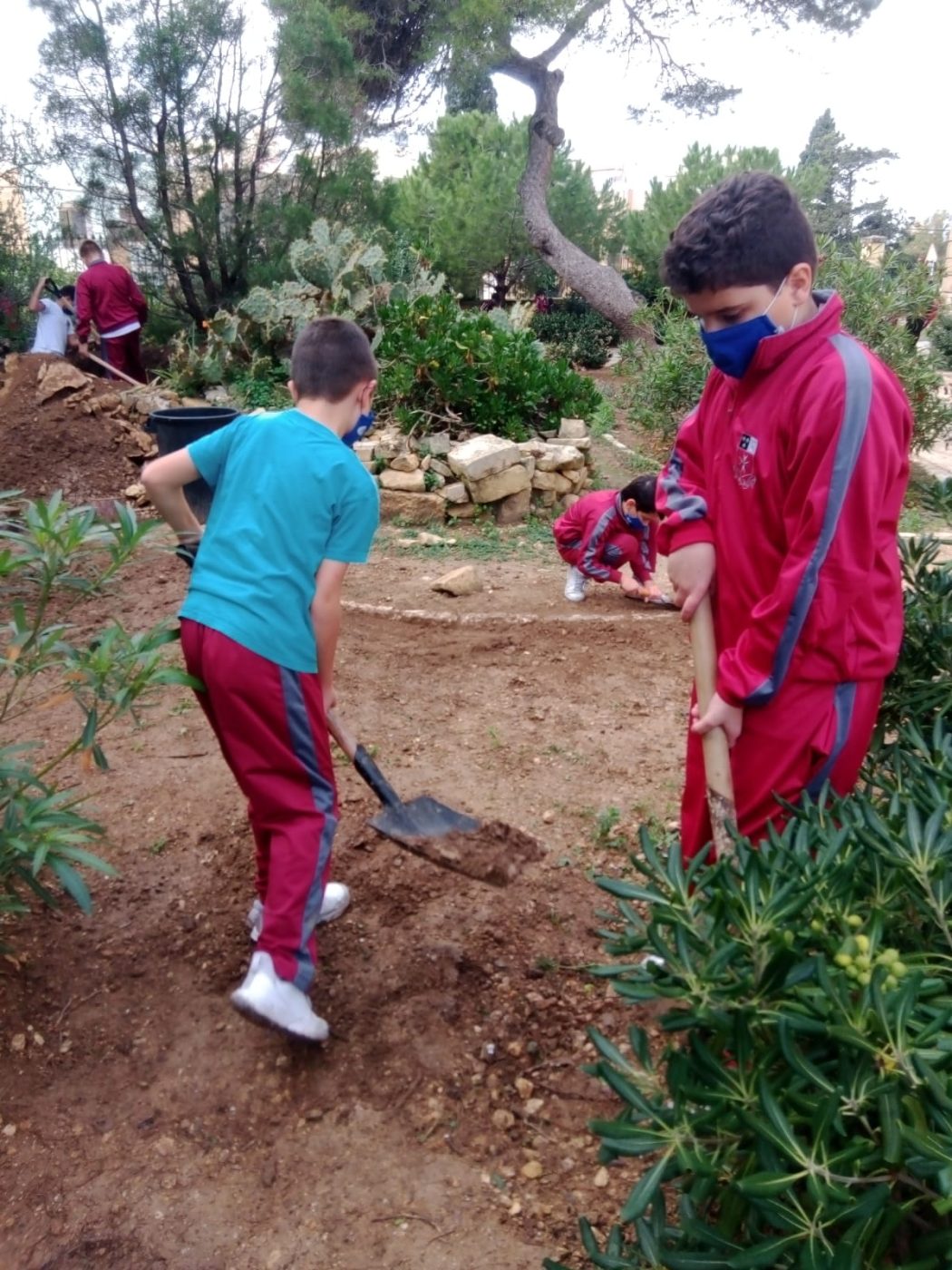 Eco-Gardeners