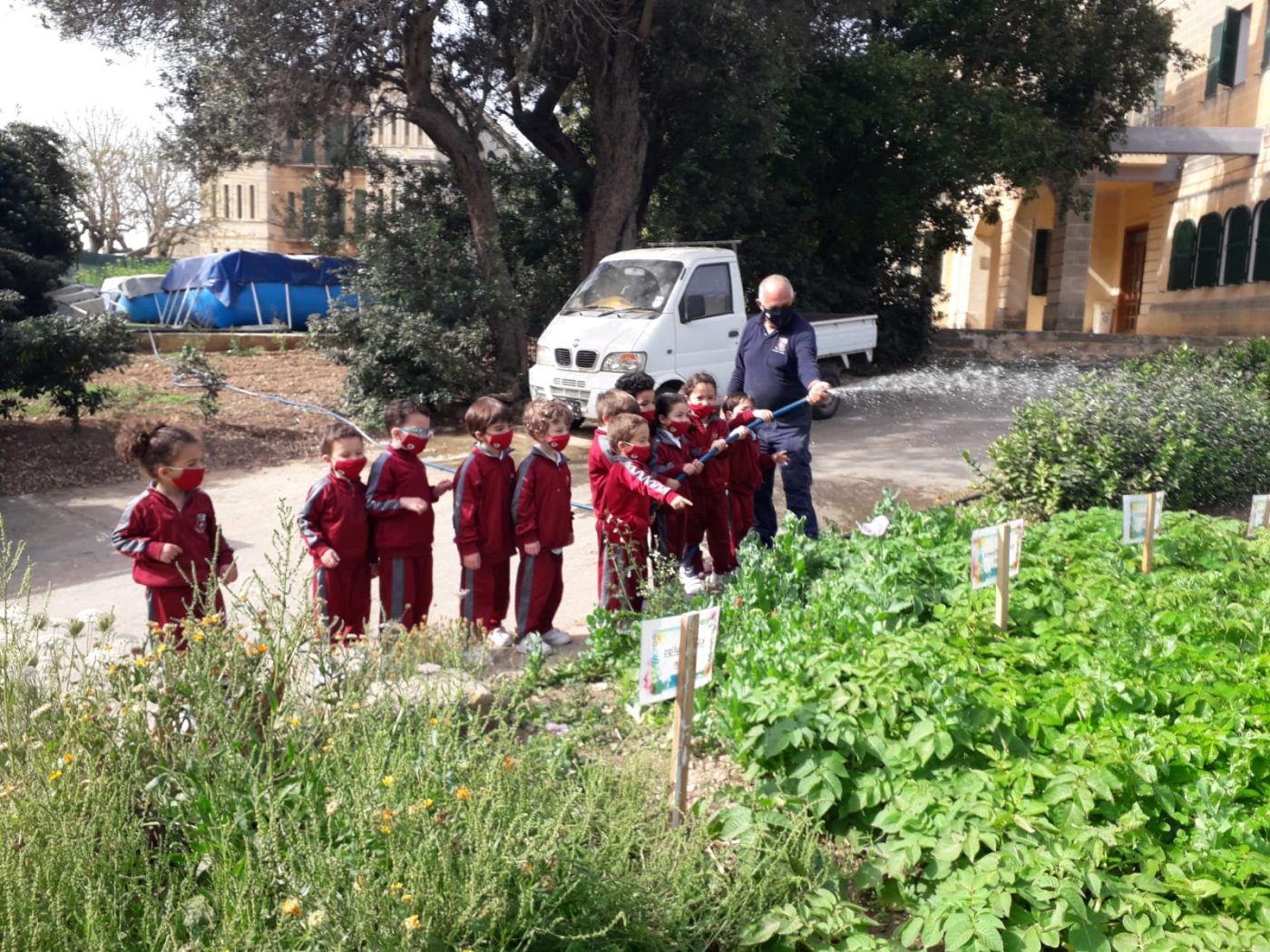 Little farmers