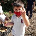 Children on Potato Day