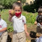 Children on Potato Day