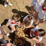 Children on Potato Day