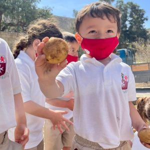 Children on Potato Day