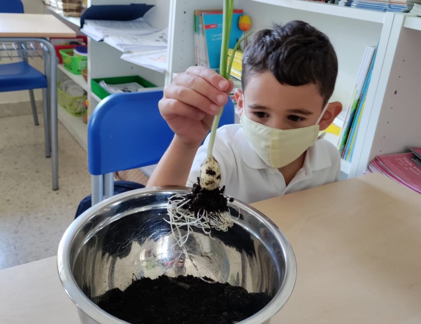 Growing our food