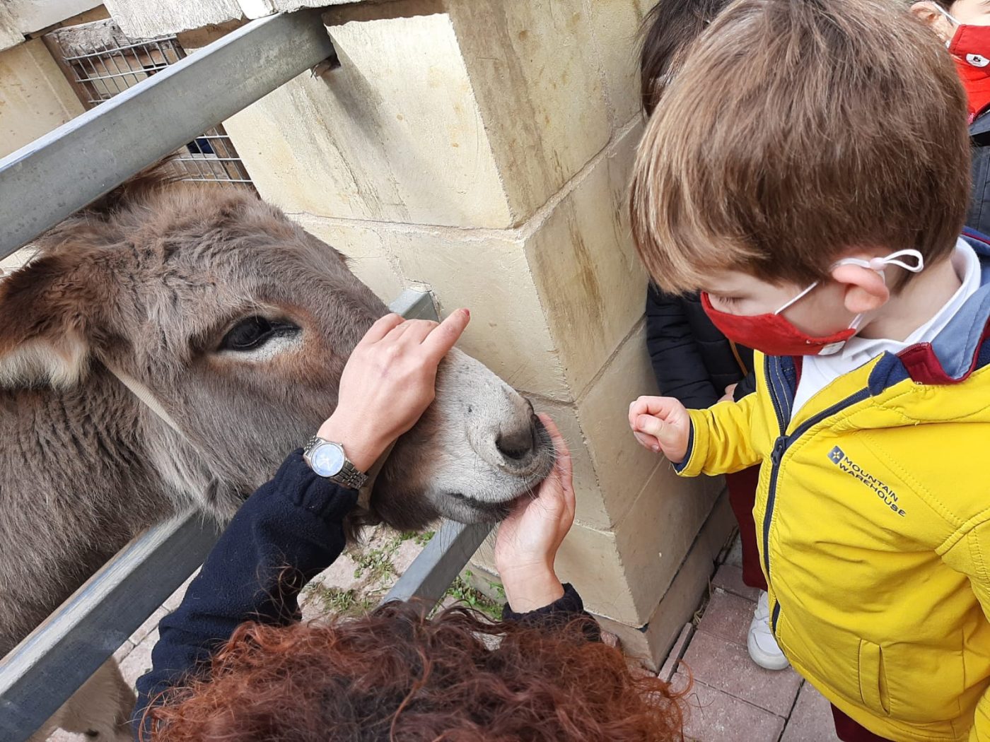 And the donkey was the star!